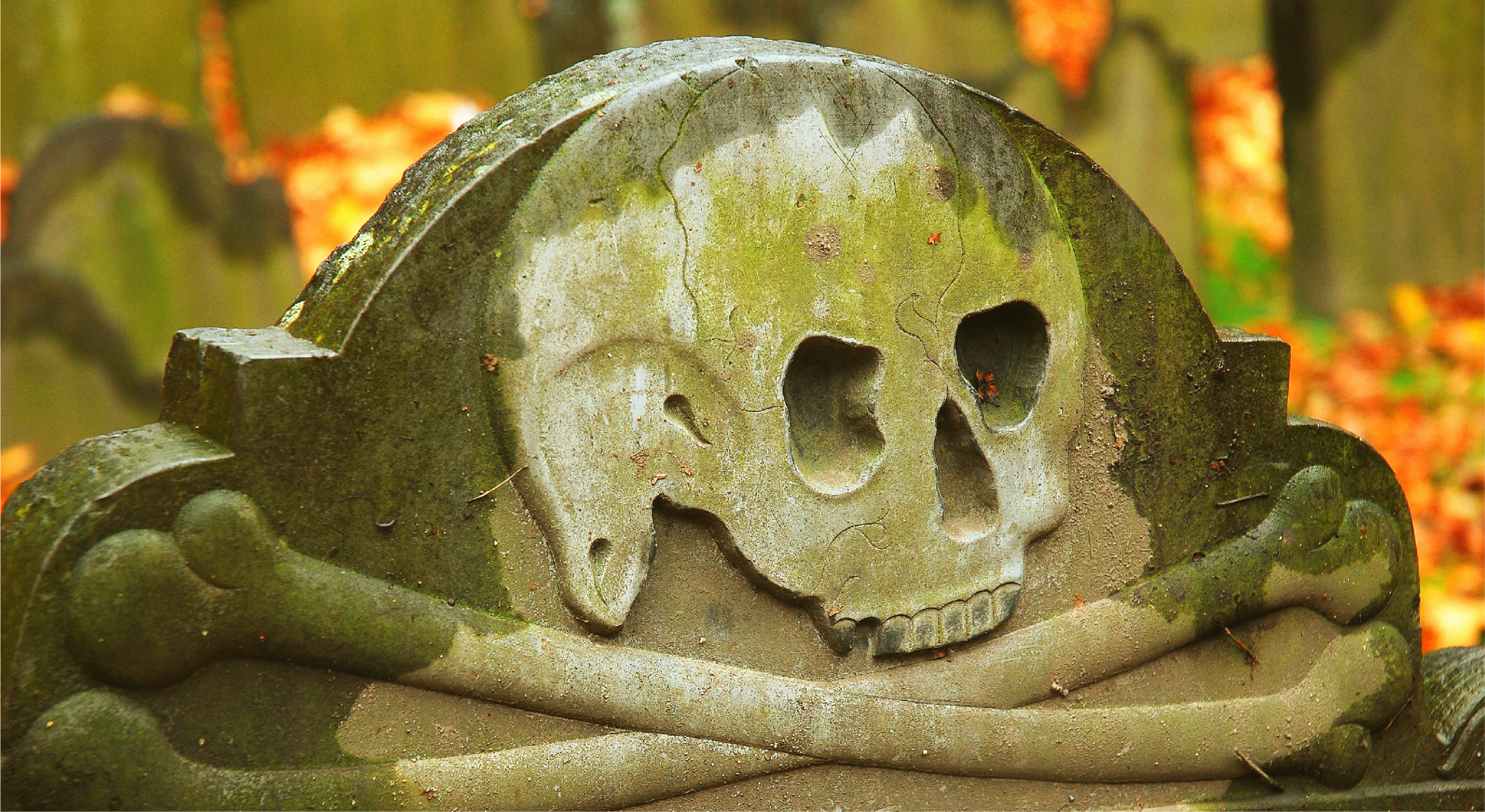 gravestone-skull-haunted-ghost