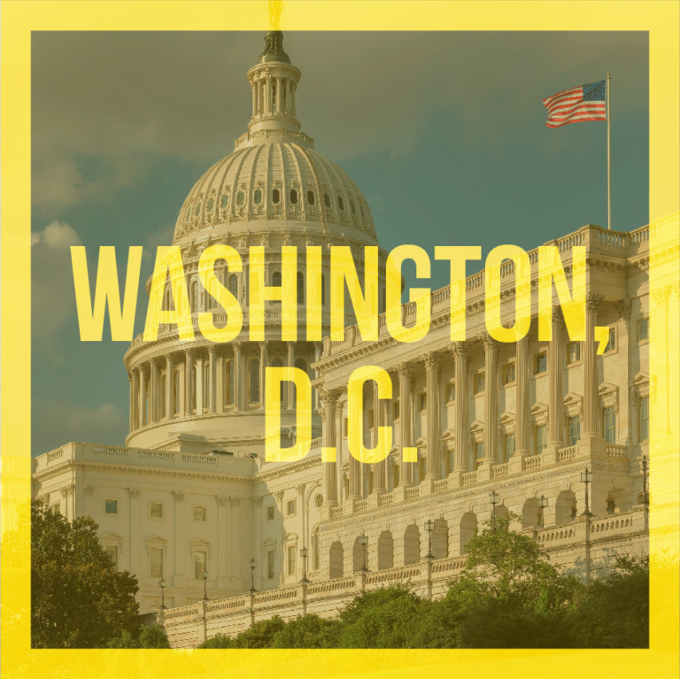 Washington DC Capitol Building and US Flag